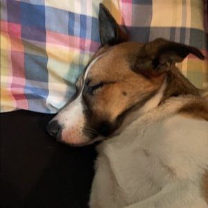 Meet your Posher, Lexi